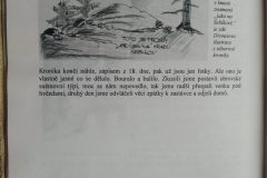 Tábor Střela 1992 3